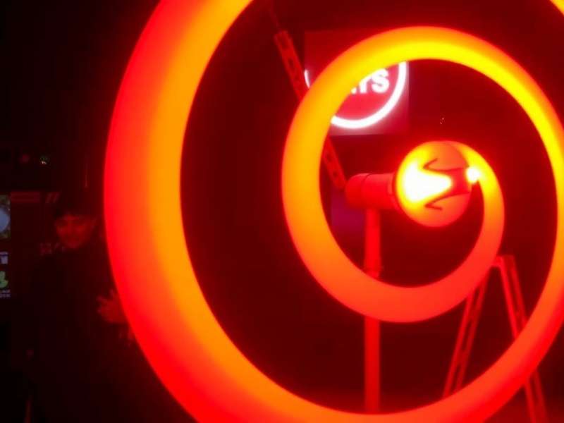 Ms. Priya Sharma, CEO